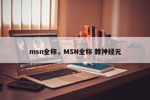 msn全称，MSN全称 棘神经元